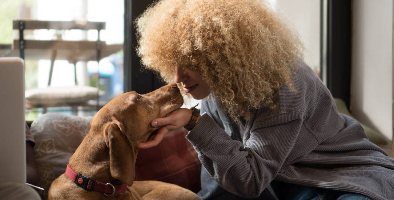 Petco Foundation MaxCRO Digital Strategists